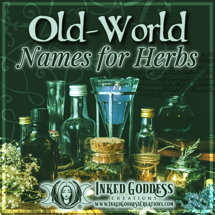 Old-World Names for Herbs