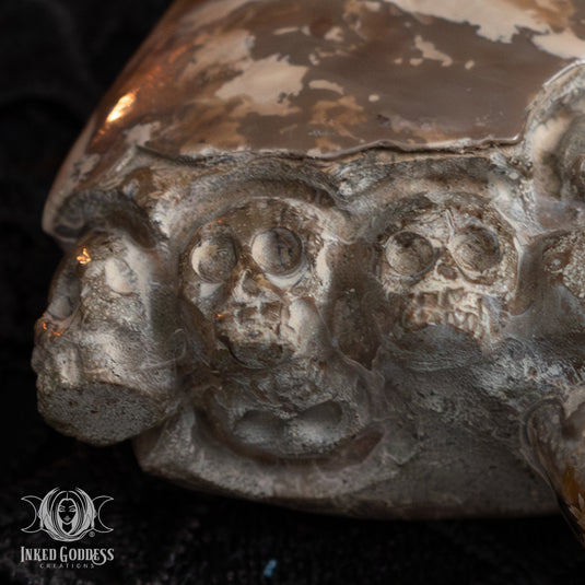 Ammonite with Carved Skulls for Amplified Intention