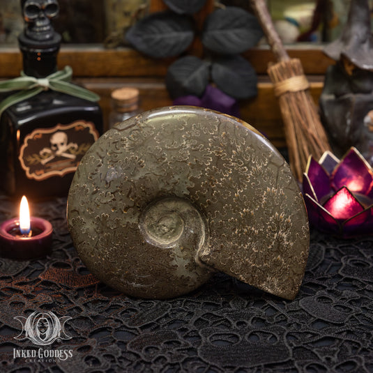 Ammonite with Carved Snake for Spiritual Transformations