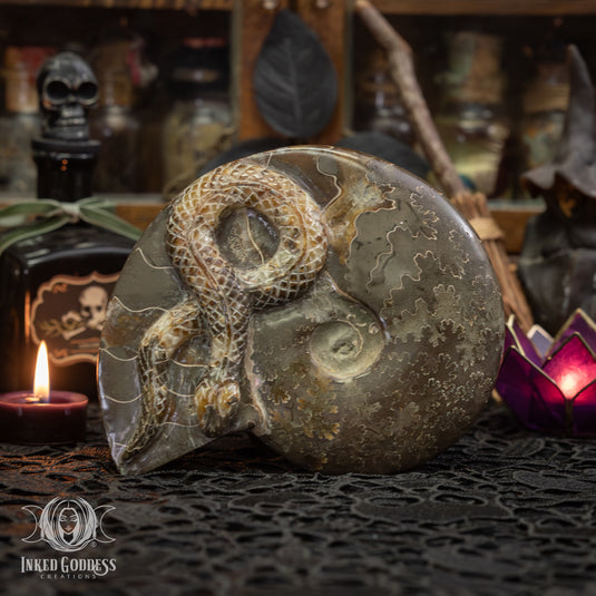 Ammonite with Carved Snake for Spiritual Transformations