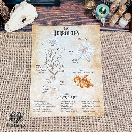 Herbology Mini Poster for Your Book of Shadows