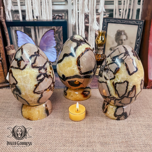 Septarian Egg with Septarian Stand for Dragon Energy