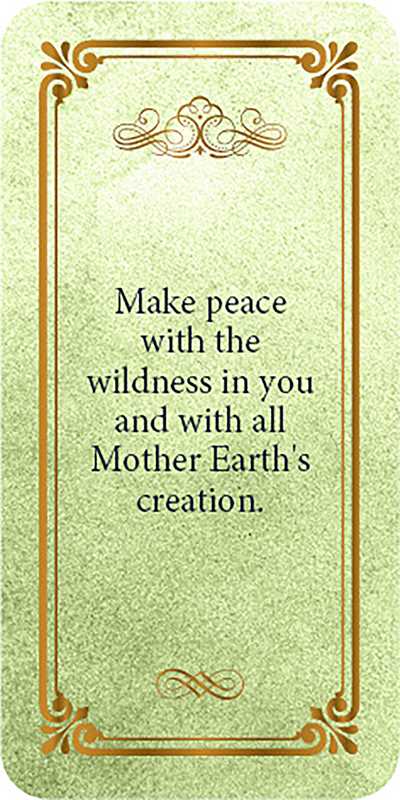 Load image into Gallery viewer, Avalon Magick Set for Connecting with Ancient Celtic Wisdom