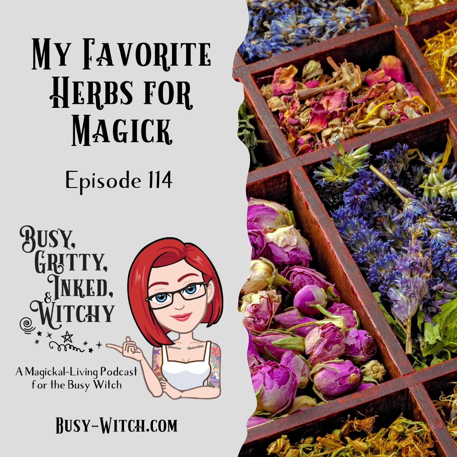 Morgan's Favorite Herbs for Magick