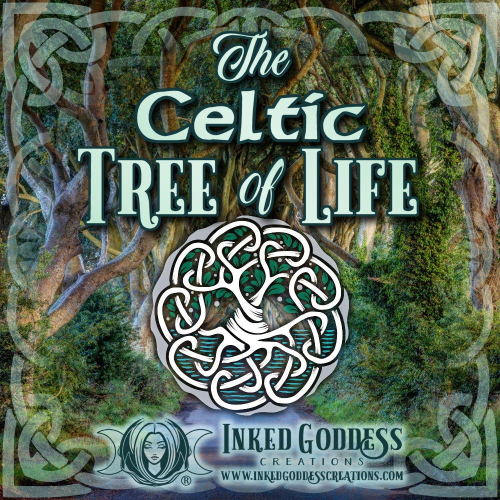 Celtic Tree of Life (Crann Bethadh): meaning and history