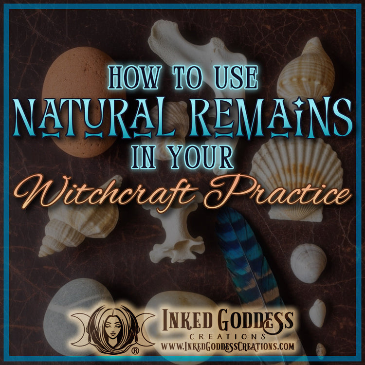 How to Use Natural Remains in Your Witchcraft Practice