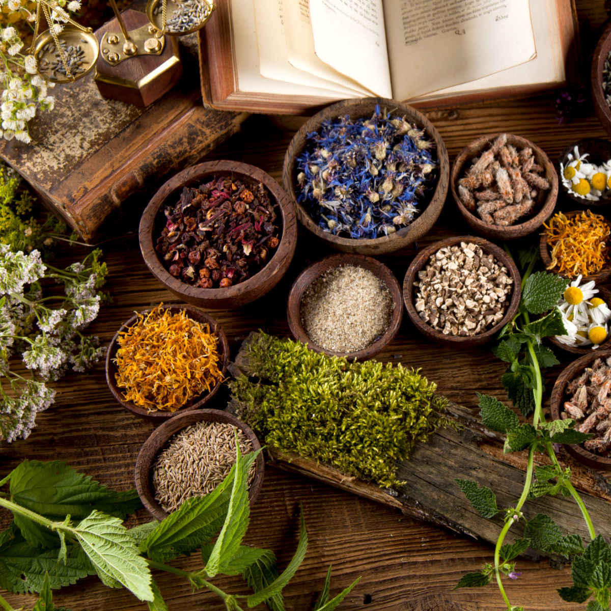 Herbs, Resins & Incense
