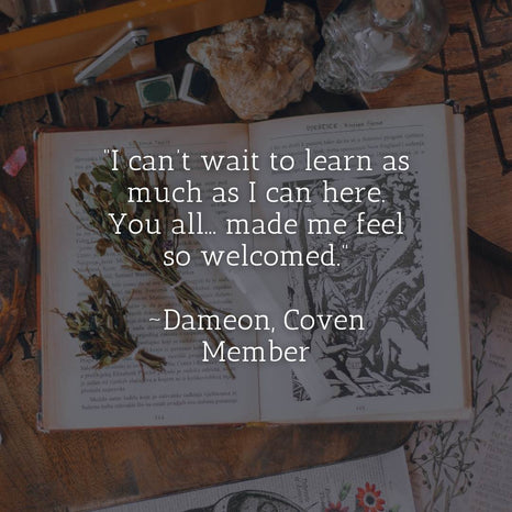 Dameon's Testimonial