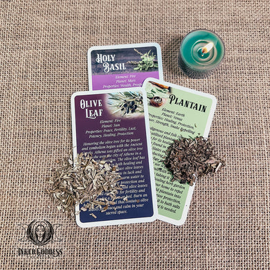 2024 Herbal Witch Expansion Pack - Eclectic Witch Deck