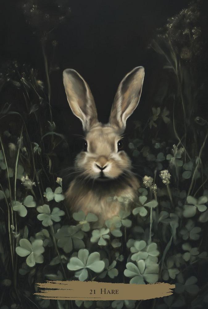 Load image into Gallery viewer, Haunted Cottage Oracle Kit for Shadow Work
