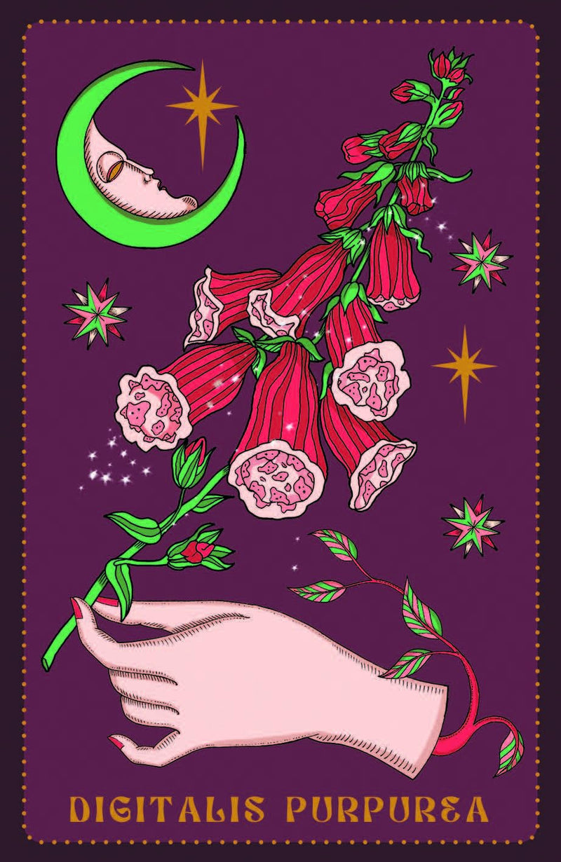 Load image into Gallery viewer, Herbarium Oracle Deck for Herbal Magick
