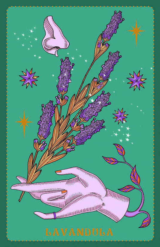 Herbarium Oracle Deck for Herbal Magick
