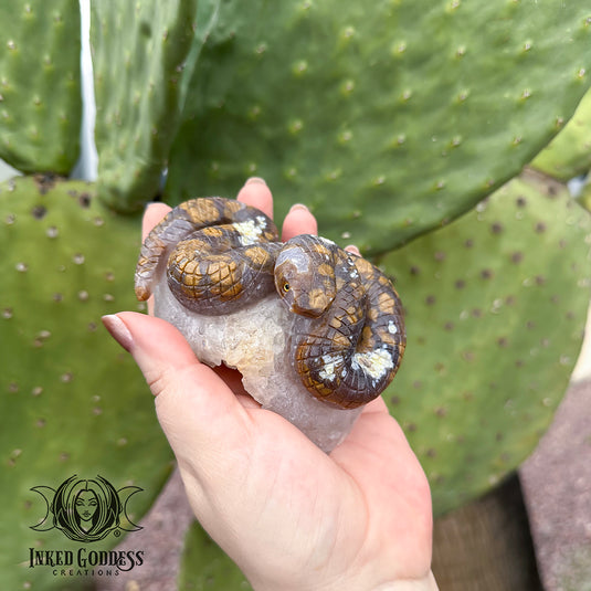 Agate Snake on Quartz Cluster for Transmuting Energy