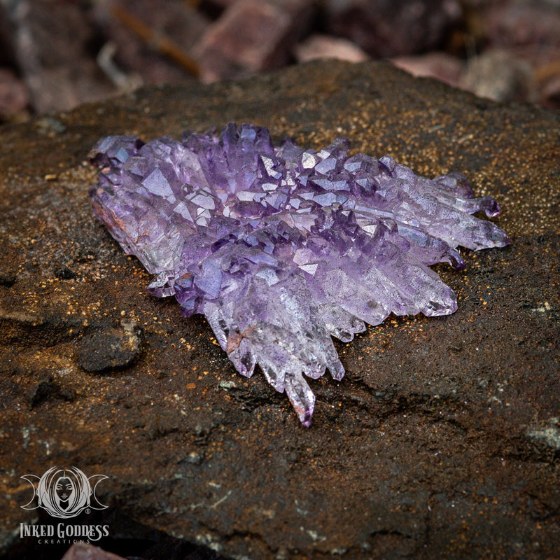 Load image into Gallery viewer, Amethyst Scepter Flower for Transmuting Chaotic Energy
