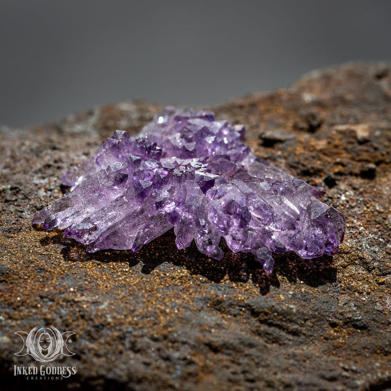 Load image into Gallery viewer, Amethyst Scepter Flower for Transmuting Chaotic Energy
