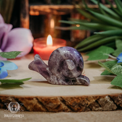 Amethyst Snail for Focus Amid the Chaos
