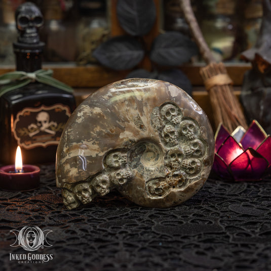 Ammonite with Carved Skulls for Amplified Intention