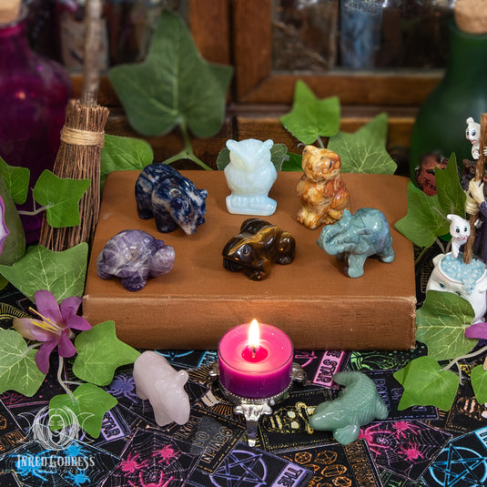 Animal Guide Mystery Gemstone for Spirit Guidance