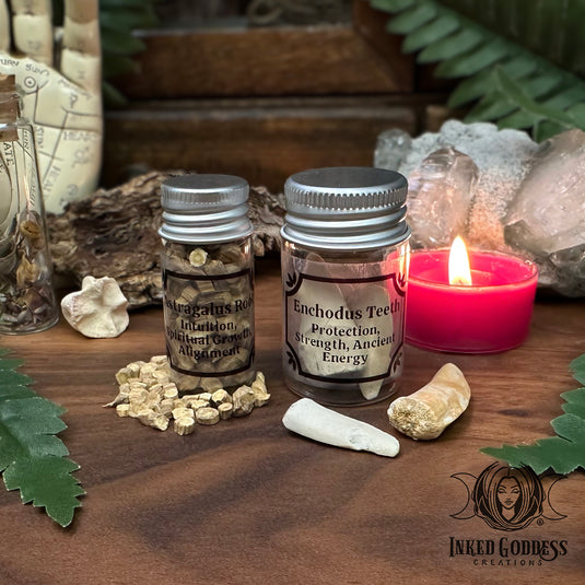 Astragalus Root & Enchodus Teeth Mini Jar Duo for Ancient Protection