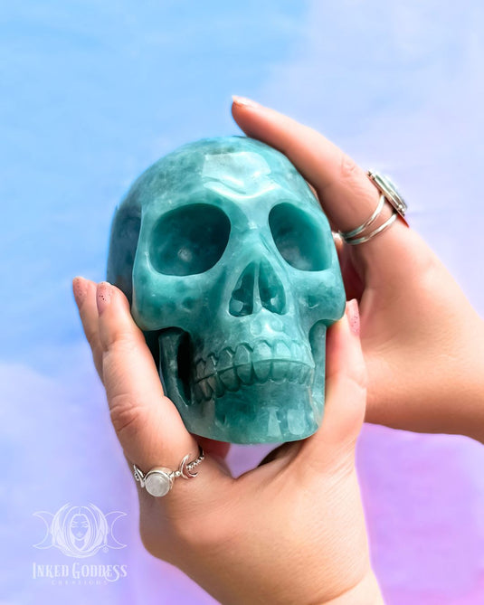 Trolleite Skull