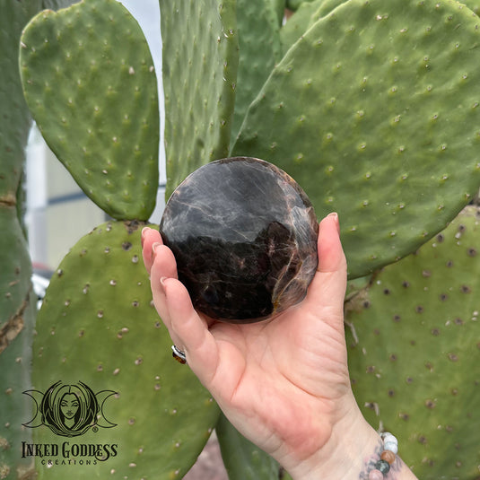 Black Moonstone Scrying Disc for Divination
