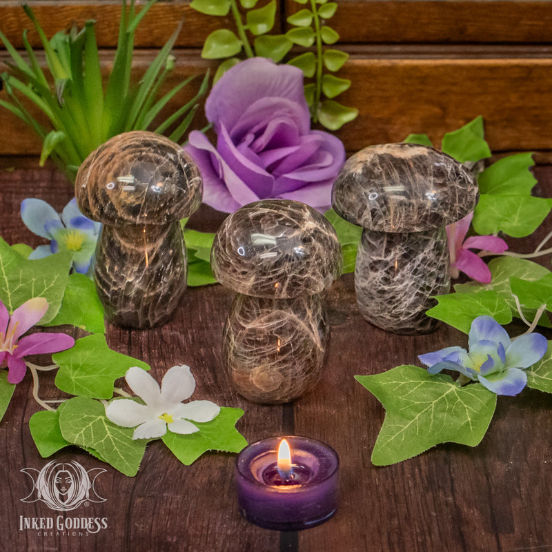 Load image into Gallery viewer, Black Moonstone Mushroom for Accessing Other Realms
