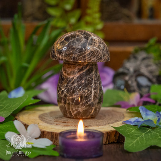 Black Moonstone Mushroom for Accessing Other Realms