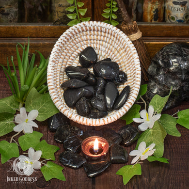 Black Palmwood Tumbled Gemstone for Ancient Wisdom