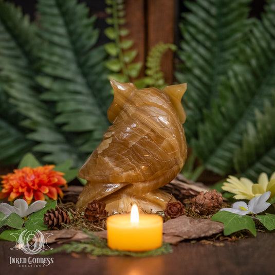 Calcite Owl on Branch for Inspiring Energy