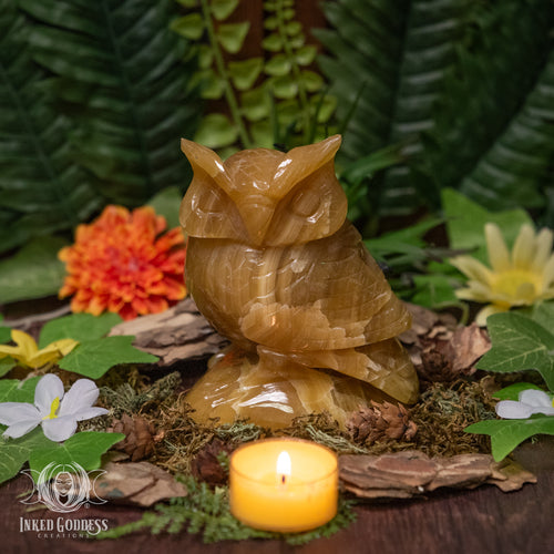 Calcite Owl on Branch for Inspiring Energy