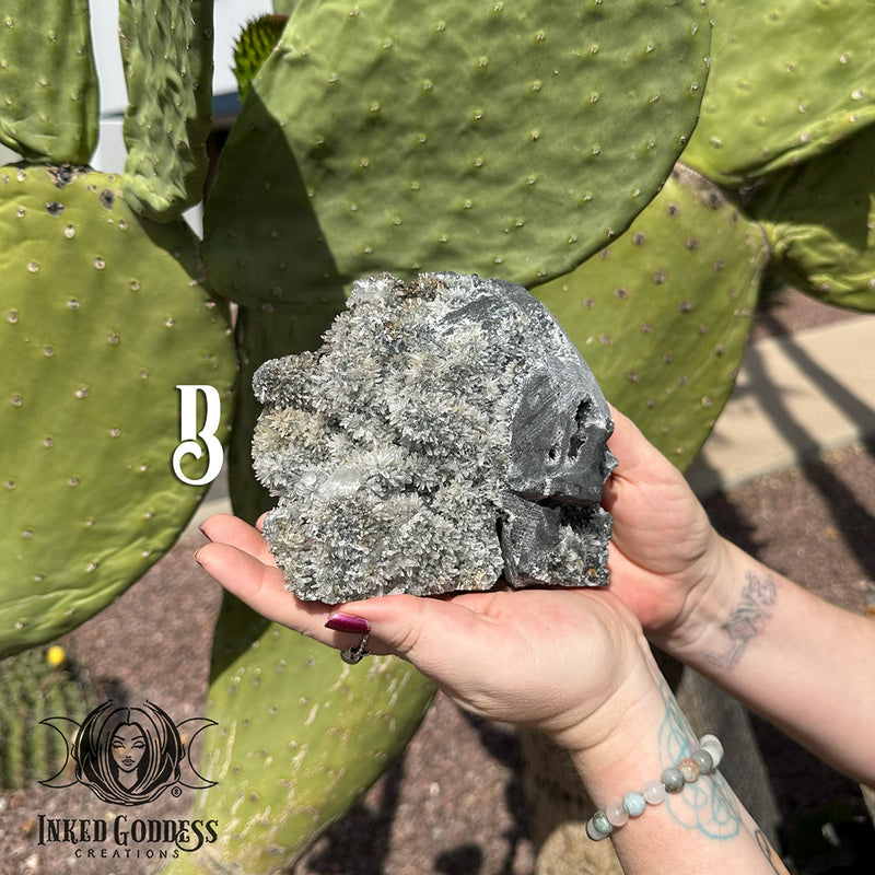 Load image into Gallery viewer, Chrysanthemum Quartz Skull for Deep Ancestral Healing
