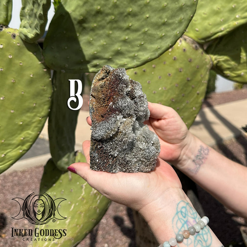 Load image into Gallery viewer, Chrysanthemum Quartz Skull for Deep Ancestral Healing
