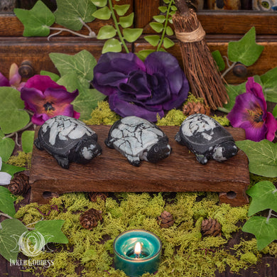 Chrysanthemum Stone Turtle for Life Purpose Wisdom