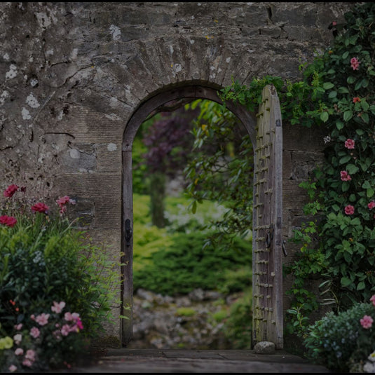 You've Found the Secret Door