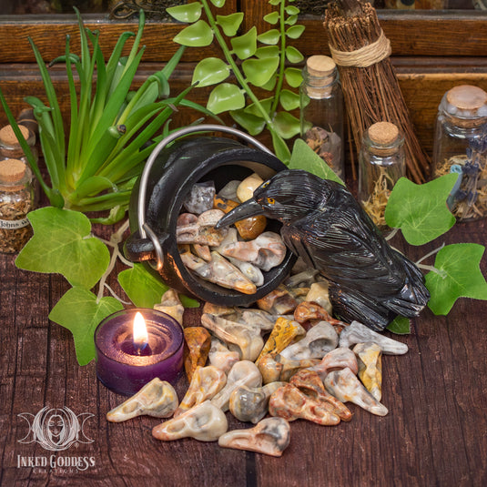 Crazy Lace Raven Skull for Higher Self Connection