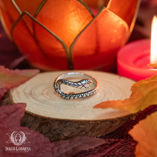 Curved Snake Sterling Silver Ring for Rebirth