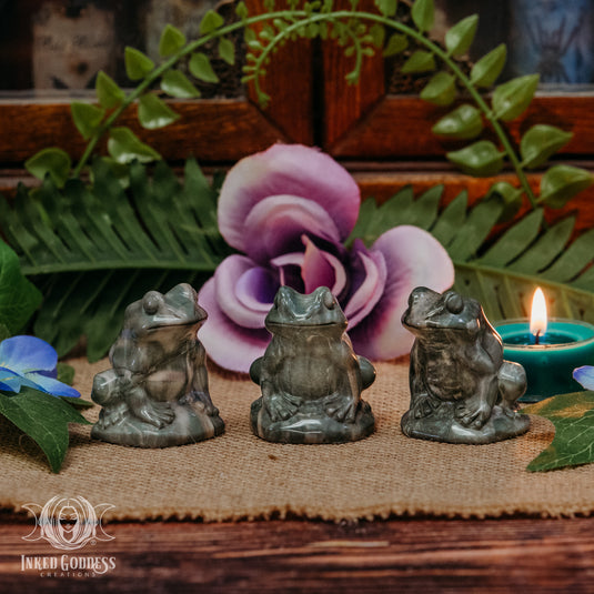 Dragon Jade Frog for Protecting Your Wealth