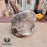Epidote in Quartz Raw Gemstone for Optimism