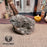 Epidote in Quartz Raw Gemstone for Optimism