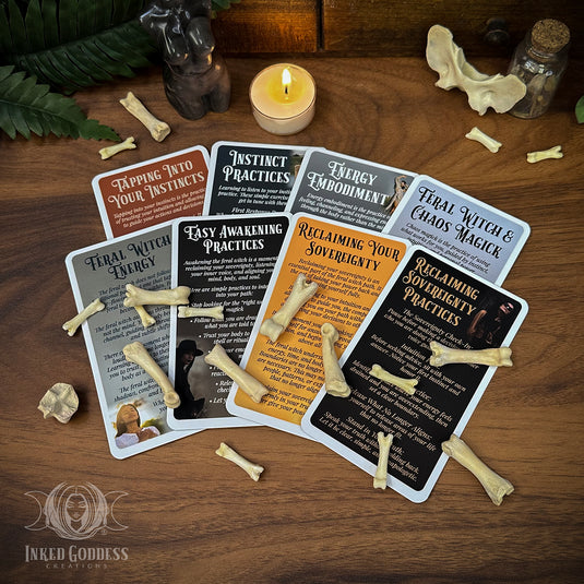 Feral Witch Expansion Pack for the Eclectic Witch Card Deck