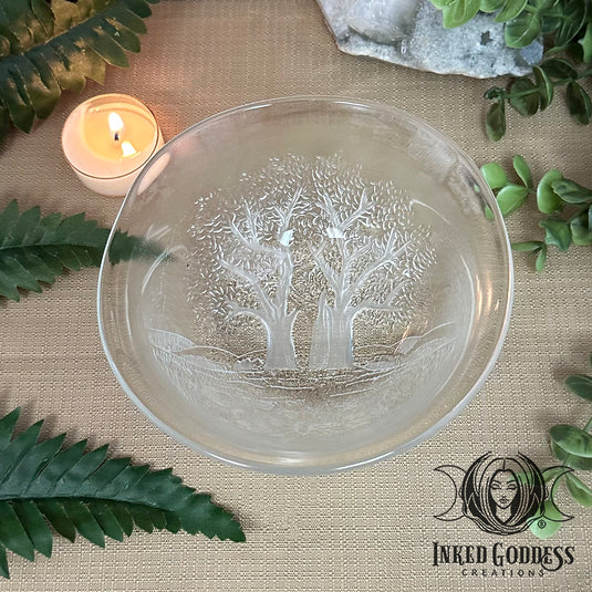 Green Witch Set for Starting Your Herbal Magick Practice
