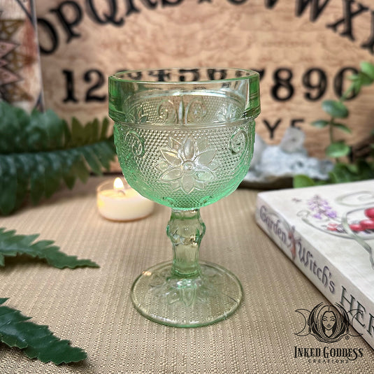 Green Witch Set for Starting Your Herbal Magick Practice