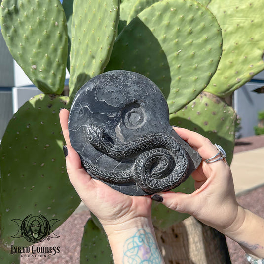 Grey Ammonite with Snake for Soul Path Transformation
