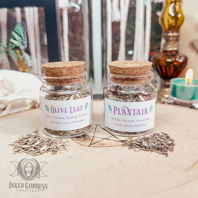 Herb Jar Set for Healing, Protection, and Strength
