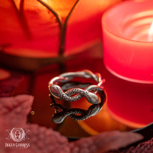 Intertwined Snakes Sterling Silver Ring for Balance