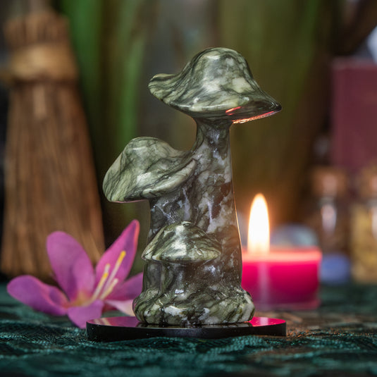 Jade Triple Mushroom for Personal Growth