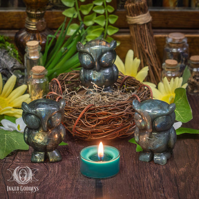 Labradorite Cutesy Owl for Psychic Wisdom