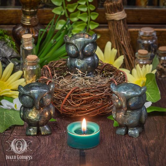 Labradorite Cutesy Owl for Psychic Wisdom