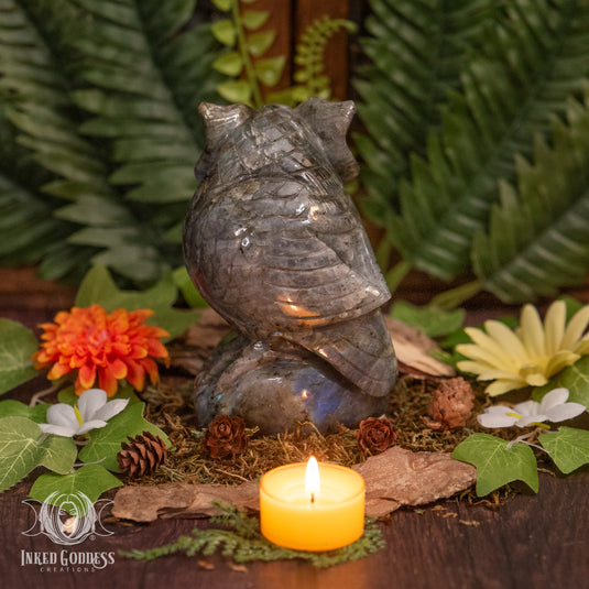 Labradorite Owl on Branch for Spiritual Wisdom