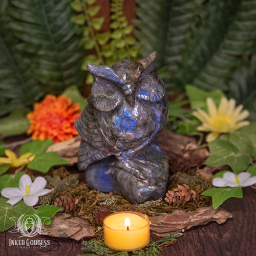 Labradorite Owl on Branch for Spiritual Wisdom